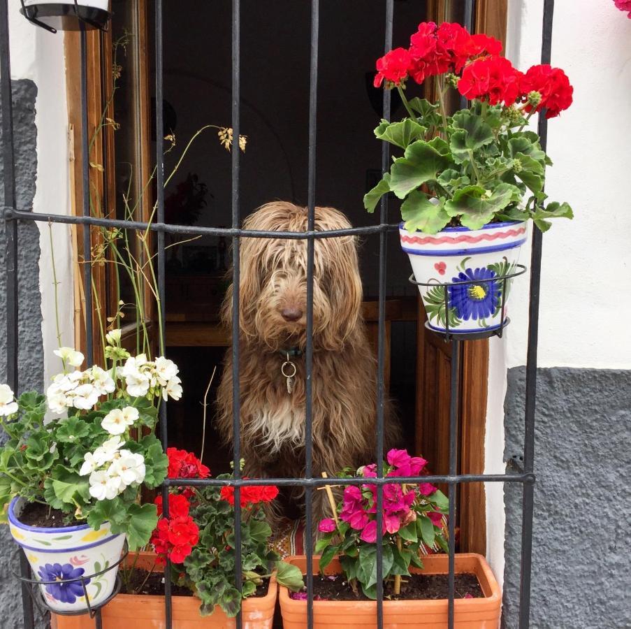 Atelier 88 Bed and Breakfast Alcalá la Real Buitenkant foto